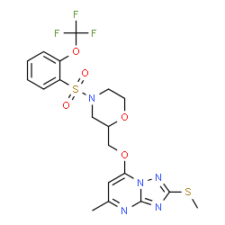 ChemSpider 2D Image | 5-Methyl-2-(methylsulfanyl)-7-[(4-{[2-(trifluoromethoxy)phenyl]sulfonyl}-2-morpholinyl)methoxy][1,2,4]triazolo[1,5-a]pyrimidine | C19H20F3N5O5S2