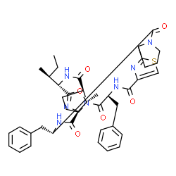 ChemSpider 2D Image | (2R,8R,11S,12R,15S,18S,24S)-8,24-Dibenzyl-15-[(2S)-2-butanyl]-12-methyl-13-oxa-29-thia-6,9,16,22,25,30,31-heptaazapentacyclo[25.2.1.1~11,14~.0~2,6~.0~18,22~]hentriaconta-1(30),14(31),27-triene-7,10,17
,23,26-pentone | C41H49N7O6S