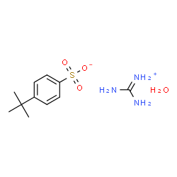 ChemSpider 2D Image | Amino(imino)methanaminium 4-(2-methyl-2-propanyl)benzenesulfonate hydrate (1:1:1) | C11H21N3O4S