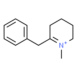 ChemSpider 2D Image | 6-Benzyl-1-methyl-2,3,4,5-tetrahydropyridinium | C13H18N