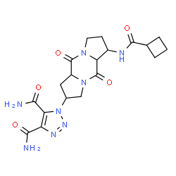 ChemSpider 2D Image | 1-{6-[(Cyclobutylcarbonyl)amino]-5,10-dioxooctahydro-1H,5H-dipyrrolo[1,2-a:1',2'-d]pyrazin-2-yl}-1H-1,2,3-triazole-4,5-dicarboxamide | C19H24N8O5