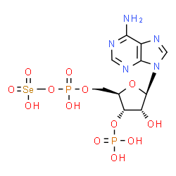 ChemSpider 2D Image | 3'-phosphoadenylyl selenate | C10H15N5O13P2Se