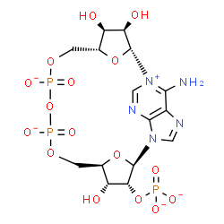 ChemSpider 2D Image | (2R,3R,4S,5R,13R,14R,15R,16R)-24-Amino-3,4,14-trihydroxy-8,8,10,10-tetraoxido-7,9,11,25,26-pentaoxa-17,19,22-triaza-1-azonia-8,10-diphosphapentacyclo[18.3.1.1~2,5~.1~13,16~.0~17,21~]hexacosa-1(24),18,
20,22-tetraen-15-yl phosphate | C15H19N5O16P3
