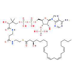 ChemSpider 2D Image | S-{(9R)-1-[(2R,3S,4R,5R)-5-(6-Amino-9H-purin-9-yl)-4-hydroxy-3-(phosphonooxy)tetrahydro-2-furanyl]-3,5,9-trihydroxy-8,8-dimethyl-3,5-dioxido-10,14-dioxo-2,4,6-trioxa-11,15-diaza-3lambda~5~,5lambda~5~-
diphosphaheptadecan-17-yl} (3R,9Z,12Z,15Z,18Z)-3-hydroxy-9,12,15,18-tetracosatetraenethioate | C45H74N7O18P3S