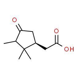 ChemSpider 2D Image | [(1S)-2,2,3-Trimethyl-4-oxocyclopentyl]acetic acid | C10H16O3