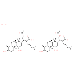 ChemSpider 2D Image | FUSIDIC ACID HEMIHYDRATE | C62H98O13