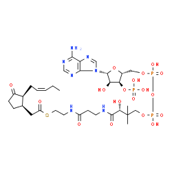 ChemSpider 2D Image | S-{(9R)-1-[(2R,3S,4R,5R)-5-(6-Amino-9H-purin-9-yl)-4-hydroxy-3-(phosphonooxy)tetrahydro-2-furanyl]-3,5,9-trihydroxy-8,8-dimethyl-3,5-dioxido-10,14-dioxo-2,4,6-trioxa-11,15-diaza-3lambda~5~,5lambda~5~-
diphosphaheptadecan-17-yl} {(1R,2S)-3-oxo-2-[(2Z)-2-penten-1-yl]cyclopentyl}ethanethioate | C33H52N7O18P3S