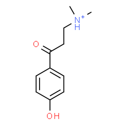 ChemSpider 2D Image | 3-(4-Hydroxyphenyl)-N,N-dimethyl-3-oxo-1-propanaminium | C11H16NO2