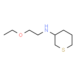 ChemSpider 2D Image | N-(2-Ethoxyethyl)tetrahydro-2H-thiopyran-3-amine | C9H19NOS