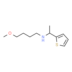 ChemSpider 2D Image | 4-Methoxy-N-[1-(2-thienyl)ethyl]-1-butanamine | C11H19NOS