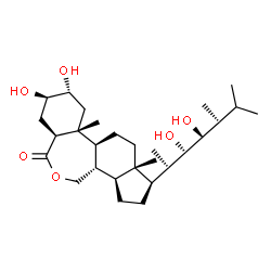 ChemSpider 2D Image | (3aS,5R,6R,7aR,7bS,9aS,10R,12aS,12bS)-10-[(2S,3S,4S,5S)-3,4-Dihydroxy-5,6-dimethyl-2-heptanyl]-5,6-dihydroxy-7a,9a-dimethylhexadecahydro-3H-benzo[c]indeno[5,4-e]oxepin-3-one | C28H48O6