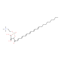 ChemSpider 2D Image | (2S,5E,7E,9E,11E,13E,15E)-1,2-Dihydroxy-4-oxo-5,7,9,11,13,15-pentacosahexaen-3-yl 2-(trimethylammonio)ethyl phosphate | C30H50NO7P