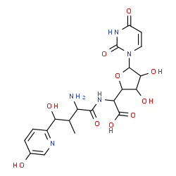 ChemSpider 2D Image | {[2-Amino-4-hydroxy-4-(5-hydroxy-2-pyridinyl)-3-methylbutanoyl]amino}[5-(2,4-dioxo-3,4-dihydro-1(2H)-pyrimidinyl)-3,4-dihydroxytetrahydro-2-furanyl]acetic acid | C20H25N5O10