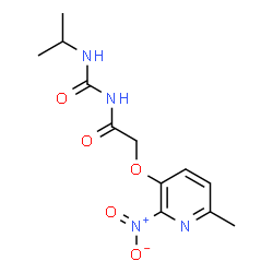 ChemSpider 2D Image | N-(Isopropylcarbamoyl)-2-[(6-methyl-2-nitro-3-pyridinyl)oxy]acetamide | C12H16N4O5