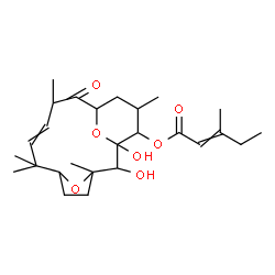 ChemSpider 2D Image | 1,2-Dihydroxy-3,7,7,10,14-pentamethyl-11-oxo-16,17-dioxatricyclo[10.3.1.1~3,6~]heptadec-8-en-15-yl 3-methyl-2-pentenoate | C26H40O7