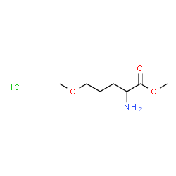 ChemSpider 2D Image | Methyl 5-methoxynorvalinate hydrochloride (1:1) | C7H16ClNO3