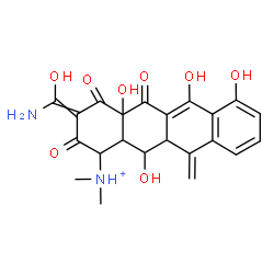 ChemSpider 2D Image | 3-[Amino(hydroxy)methylene]-4a,6,7,12-tetrahydroxy-N,N-dimethyl-11-methylene-2,4,5-trioxo-1,2,3,4,4a,5,11,11a,12,12a-decahydro-1-tetracenaminium | C22H23N2O8
