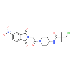 ChemSpider 2D Image | 3-Chloro-2,2-dimethyl-N-{1-[(5-nitro-1,3-dioxo-1,3-dihydro-2H-isoindol-2-yl)acetyl]-4-piperidinyl}propanamide | C20H23ClN4O6