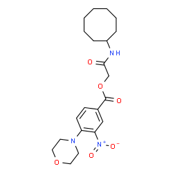 ChemSpider 2D Image | 2-(Cyclooctylamino)-2-oxoethyl 4-(4-morpholinyl)-3-nitrobenzoate | C21H29N3O6