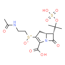 ChemSpider 2D Image | (2-Acetamidoethyl){(5R,6R)-2-carboxy-7-oxo-6-[2-(sulfooxy)-2-propanyl]-1-azabicyclo[3.2.0]hept-2-en-3-yl}sulfoniumolate | C14H20N2O9S2
