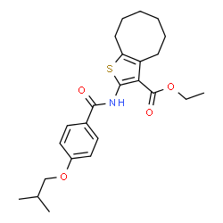 ChemSpider 2D Image | Ethyl 2-[(4-isobutoxybenzoyl)amino]-4,5,6,7,8,9-hexahydrocycloocta[b]thiophene-3-carboxylate | C24H31NO4S