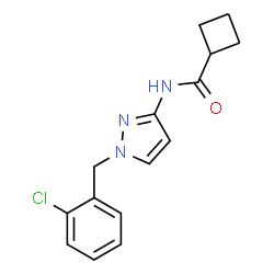ChemSpider 2D Image | N-[1-(2-Chlorobenzyl)-1H-pyrazol-3-yl]cyclobutanecarboxamide | C15H16ClN3O