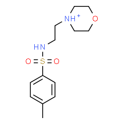 ChemSpider 2D Image | 4-(2-{[(4-Methylphenyl)sulfonyl]amino}ethyl)morpholin-4-ium | C13H21N2O3S