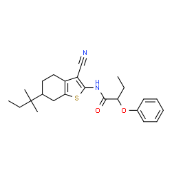 ChemSpider 2D Image | N-[3-Cyano-6-(2-methyl-2-butanyl)-4,5,6,7-tetrahydro-1-benzothiophen-2-yl]-2-phenoxybutanamide | C24H30N2O2S