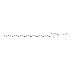 ChemSpider 2D Image | N-(2-Ethoxy-2-oxoethyl)-N,N-dimethyl-1-hexadecanaminium | C22H46NO2