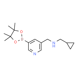 ChemSpider 2D Image | 1-cyclopropyl-N-((5-(4,4,5,5-tetramethyl-1,3,2-dioxaborolan-2-yl)pyridin-3-yl)methyl)methanamine | C16H25BN2O2