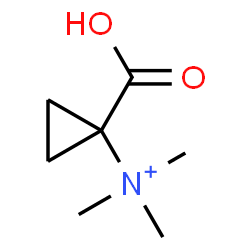 ChemSpider 2D Image | 1-Carboxy-N,N,N-trimethylcyclopropanaminium | C7H14NO2