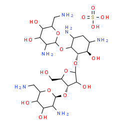 ChemSpider 2D Image | (2S,3R)-4,6-Diamino-2-({(2xi)-3-O-[(1S)-2,6-diamino-2,6-dideoxyhexopyranosyl]-D-erythro-pentofuranosyl}oxy)-3-hydroxycyclohexyl 2,6-diamino-2,6-dideoxyhexopyranoside sulfate (1:1) | C23H48N6O17S