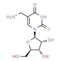 ChemSpider 2D Image | 5-(Ammoniomethyl)-1-(beta-D-ribofuranosyl)-2-thioxo-2,3-dihydro-4(1H)-pyrimidinone | C10H16N3O5S