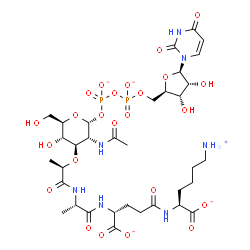 ChemSpider 2D Image | (2S)-2-{[(4R)-4-{[(2S)-2-{[(2R)-2-{[(2R,3R,4R,5S,6R)-3-Acetamido-2-({[({[(2R,3S,4R,5R)-5-(2,4-dioxo-3,4-dihydro-1(2H)-pyrimidinyl)-3,4-dihydroxytetrahydro-2-furanyl]methoxy}phosphinato)oxy]phosphinato
}oxy)-5-hydroxy-6-(hydroxymethyl)tetrahydro-2H-pyran-4-yl]oxy}propanoyl]amino}propanoyl]amino}-4-carboxylatobutanoyl]amino}-6-ammoniohexanoate (non-preferred name) | C34H52N7O24P2