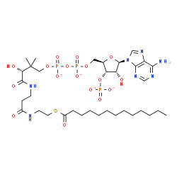 ChemSpider 2D Image | Adenosine, 5'-O-[hydroxy[[hydroxy[(3R)-3-hydroxy-2,2-dimethyl-4-oxo-4-[[3-oxo-3-[[2-[(1-oxotridecyl)thio]ethyl]amino]propyl]amino]butoxy]phosphinyl]oxy]phosphinyl]-, 3'-(dihydrogen phosphate), ion(4-) | C34H56N7O17P3S