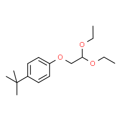 ChemSpider 2D Image | 1-(2,2-Diethoxyethoxy)-4-(2-methyl-2-propanyl)benzene | C16H26O3