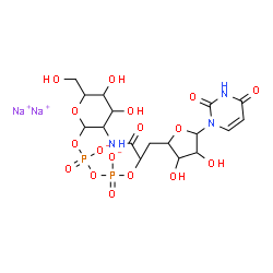 ChemSpider 2D Image | disodium;[3-acetamido-4,5-dihydroxy-6-(hydroxymethyl)tetrahydropyran-2-yl] [[5-(2,4-dioxopyrimidin-1-yl)-3,4-dihydroxy-tetrahydrofuran-2-yl]methoxy-oxido-phosphoryl] phosphate | C17H25N3Na2O17P2