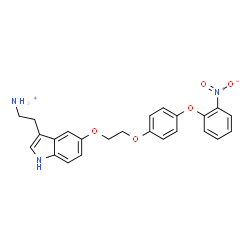 ChemSpider 2D Image | 2-(5-{2-[4-(2-Nitrophenoxy)phenoxy]ethoxy}-1H-indol-3-yl)ethanaminium | C24H24N3O5
