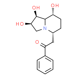 ChemSpider 2D Image | 1-Phenyl-2-[(1S,2R,5R,8R)-1,2,8-trihydroxyoctahydro-5-indolizinyl]ethanone | C16H21NO4