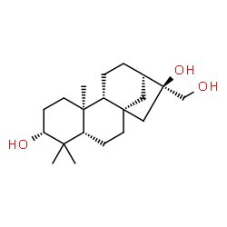 ChemSpider 2D Image | (3alpha,5beta,8alpha,9beta,10alpha)-Kaurane-3,16,17-triol | C20H34O3