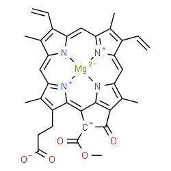 ChemSpider 2D Image | {3-[21-(Methoxycarbonyl)-4,8,13,18-tetramethyl-20-oxo-9,14-divinyl-3,4-didehydro-3-phorbinyl-kappa~4~N~23~,N~24~,N~25~,N~26~]propanoato(4-)}magnesate(2-) | C35H28MgN4O5