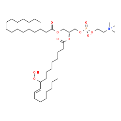 ChemSpider 2D Image | 1-palmitoyl-2-[(10E)-9-hydroperoxyoctadecenoyl]-sn-glycero-3-phosphocholine | C42H82NO10P