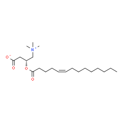 ChemSpider 2D Image | O-[(5Z)-tetradecenoyl]-L-carnitine | C21H39NO4