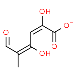 ChemSpider 2D Image | (2E,4E)-2,4-Dihydroxy-5-methyl-6-oxo-2,4-hexadienoate | C7H7O5
