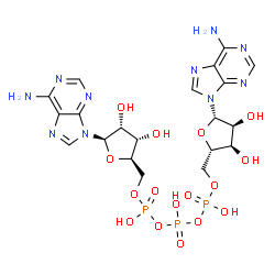 ChemSpider 2D Image | [[(2S,3R,4S,5S)-5-(6-aminopurin-9-yl)-3,4-dihydroxy-tetrahydrofuran-2-yl]methoxy-hydroxy-phosphoryl] [[(2R,3S,4R,5R)-5-(6-aminopurin-9-yl)-3,4-dihydroxy-tetrahydrofuran-2-yl]methoxy-hydroxy-phosphoryl] hydrogen phosphate | C20H27N10O16P3