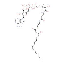 ChemSpider 2D Image | 9H-Purin-6-amine, 9-[5-O-[hydroxy[[hydroxy[3-hydroxy-4-[[3-[[2-[[(3S,9Z)-3-hydroxy-1-oxo-9-hexadecen-1-yl]thio]ethyl]amino]-3-oxopropyl]amino]-2,2-dimethyl-4-oxobutoxy]phosphinyl]oxy]phosphinyl]-3-O-p
hosphono-beta-D-lyxofuranosyl]-, ion(4-) | C37H60N7O18P3S