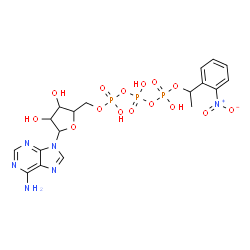 ChemSpider 2D Image | 9-[5-O-(Hydroxy{[hydroxy({hydroxy[1-(2-nitrophenyl)ethoxy]phosphoryl}oxy)phosphoryl]oxy}phosphoryl)pentofuranosyl]-9H-purin-6-amine | C18H23N6O15P3