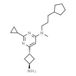 ChemSpider 2D Image | 6-(trans-3-Aminocyclobutyl)-N-(3-cyclopentylpropyl)-2-cyclopropyl-N-methyl-4-pyrimidinamine | C20H32N4