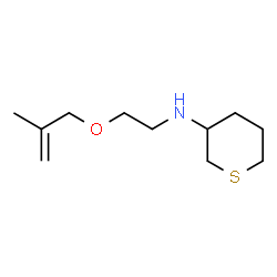 ChemSpider 2D Image | N-{2-[(2-Methyl-2-propen-1-yl)oxy]ethyl}tetrahydro-2H-thiopyran-3-amine | C11H21NOS