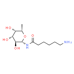 ChemSpider 2D Image | 6-Amino-N-(6-deoxy-Î²-L-galactopyranosyl)hexanamide | C12H24N2O5